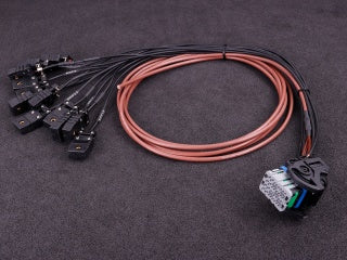 MaxxEcu Pro Wiring Harness