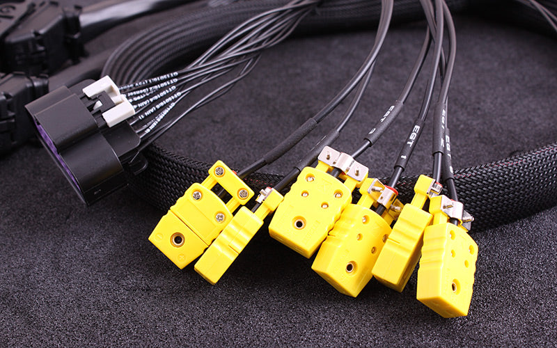 MaxxEcu Plugin Race Ford Focus RS
