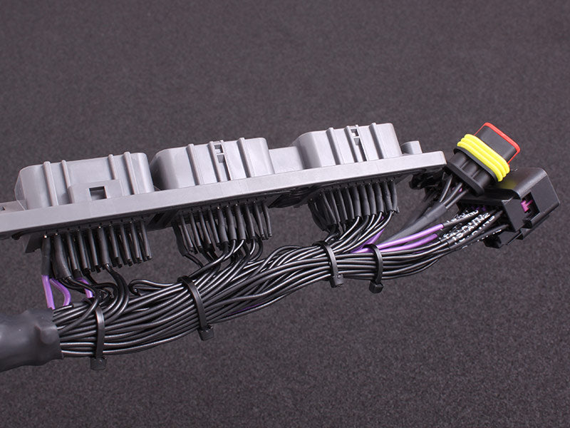 MaxxEcu Plugin Street Supra