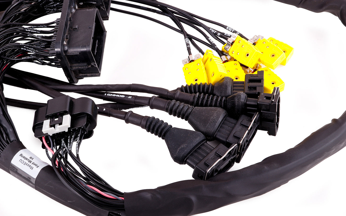 MaxxEcu Plugin Pro Ford Mustang GT