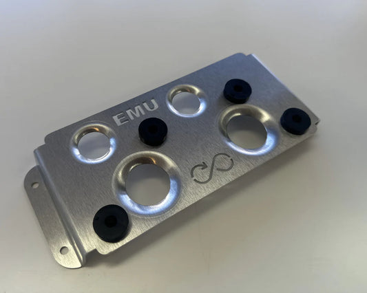 ECU Master Pro 8 Mount
