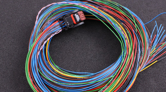 MaxxEcu Pro Wiring Harness C3