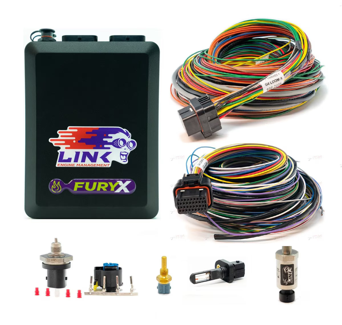 Link ECU Fury G4X Package