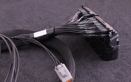MaxxEcu Plugin Race Ford Focus RS