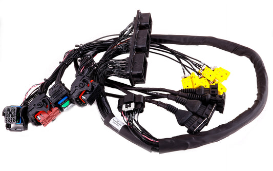 MaxxEcu Plugin Pro Ford Mustang GT